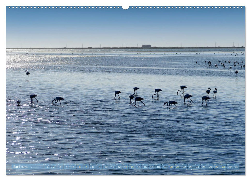 Provence mit allen Sinnen (CALVENDO Wandkalender 2026)