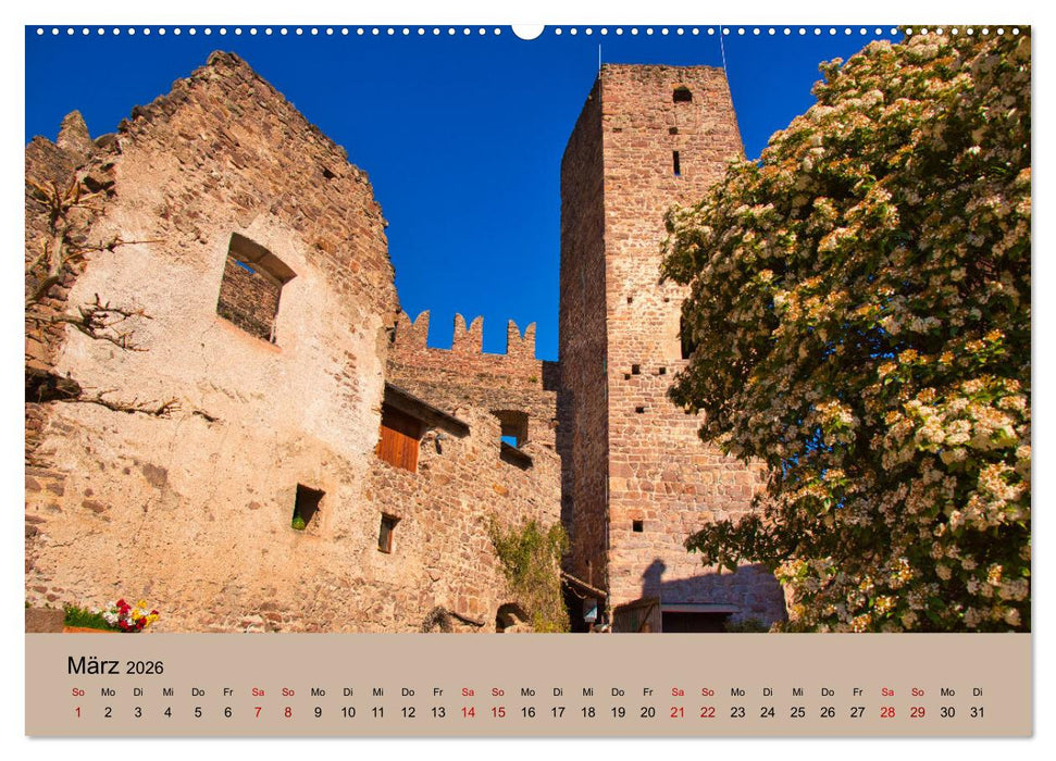 Streifzüge durch Südtirol (CALVENDO Wandkalender 2026)