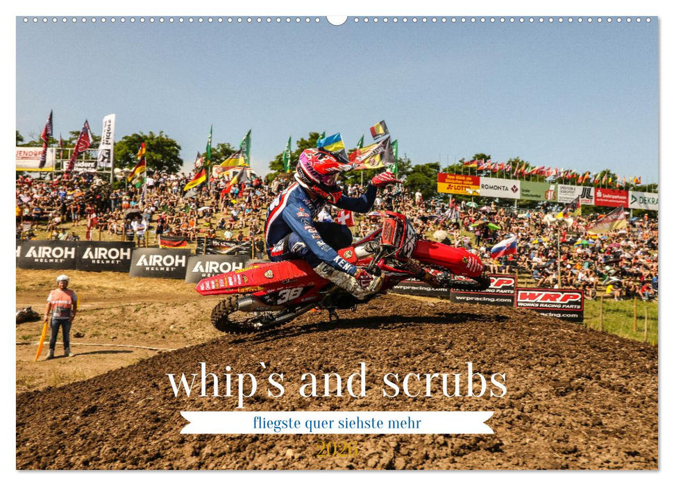whip`s and scrub`s 2026 (CALVENDO Wandkalender 2026)