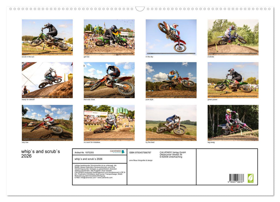whip`s and scrub`s 2026 (CALVENDO Wandkalender 2026)