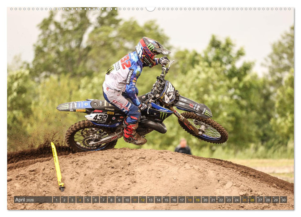 whip`s and scrub`s 2026 (CALVENDO Wandkalender 2026)