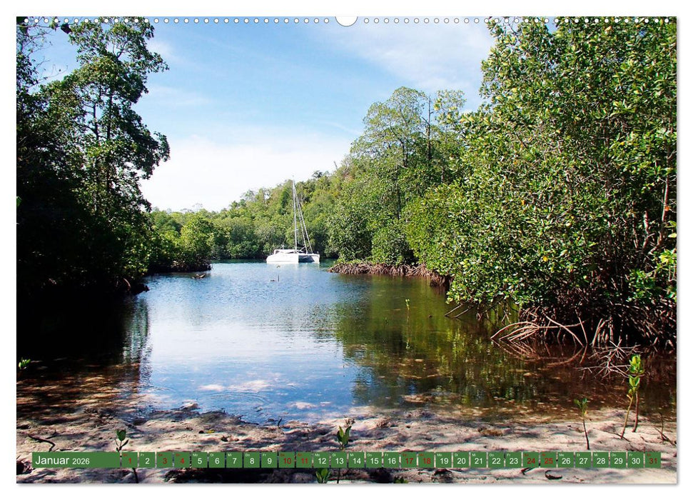 Mangroven - Natürlicher Küstenschutz (CALVENDO Wandkalender 2026)