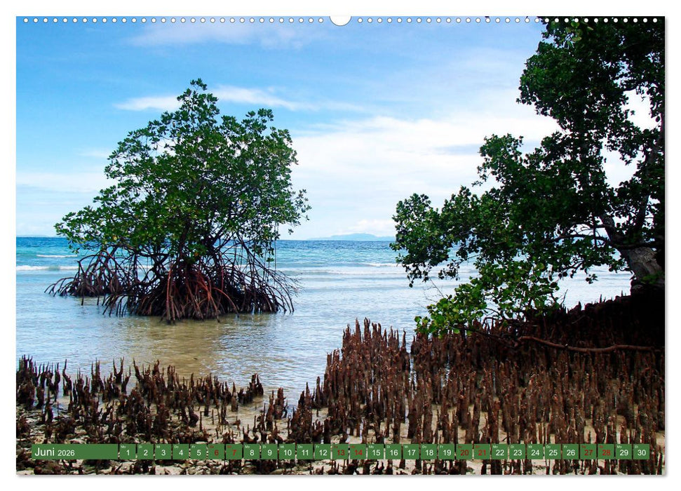 Mangroven - Natürlicher Küstenschutz (CALVENDO Wandkalender 2026)