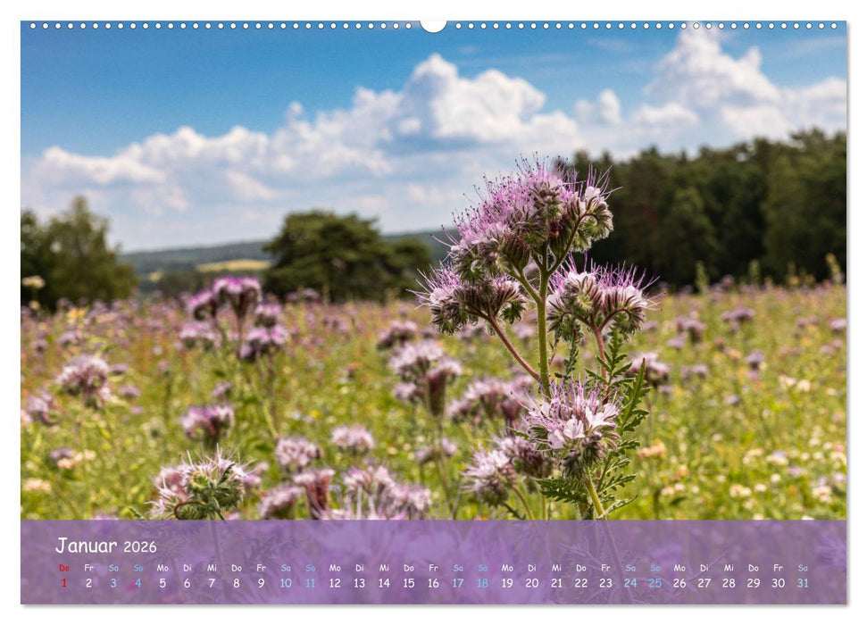 Im Herzen der Lüneburger Heide (CALVENDO Wandkalender 2026)