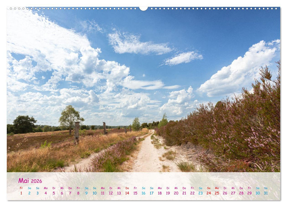 Im Herzen der Lüneburger Heide (CALVENDO Wandkalender 2026)