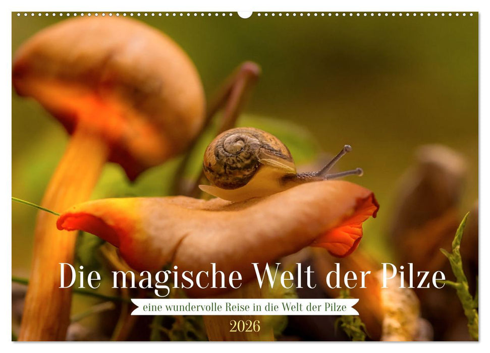 Die magische Welt der Pilze (CALVENDO Wandkalender 2026)