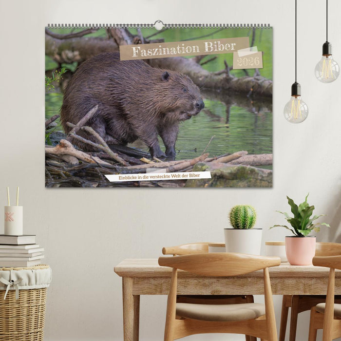 Faszination Biber (CALVENDO Wandkalender 2026)