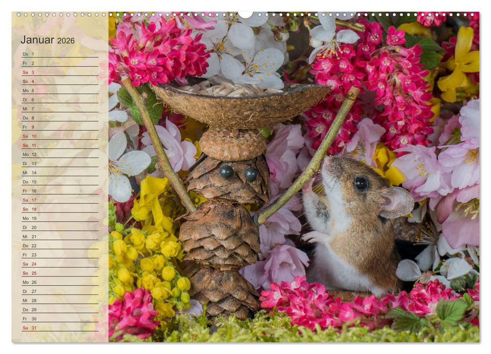Mausis Zapfenfreunde (CALVENDO Wandkalender 2026)