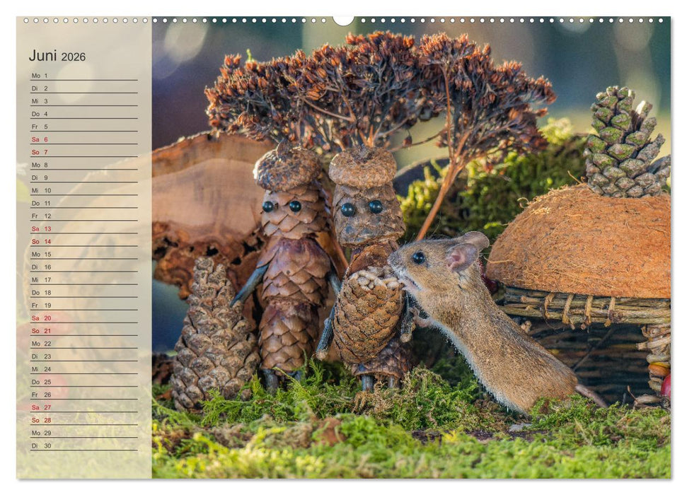 Mausis Zapfenfreunde (CALVENDO Wandkalender 2026)
