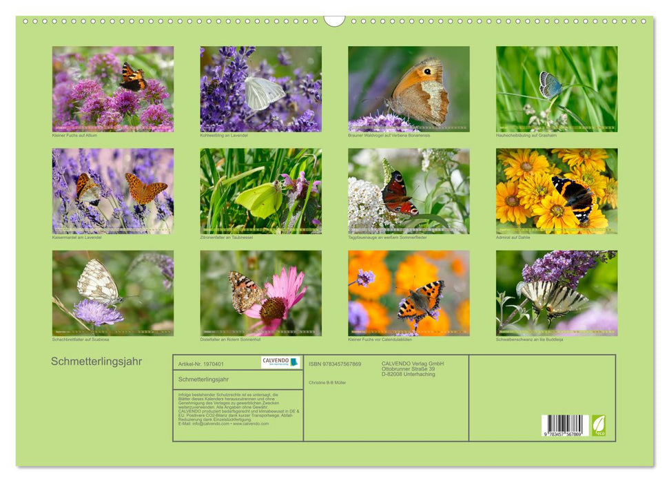 Schmetterlingsjahr (CALVENDO Wandkalender 2026)