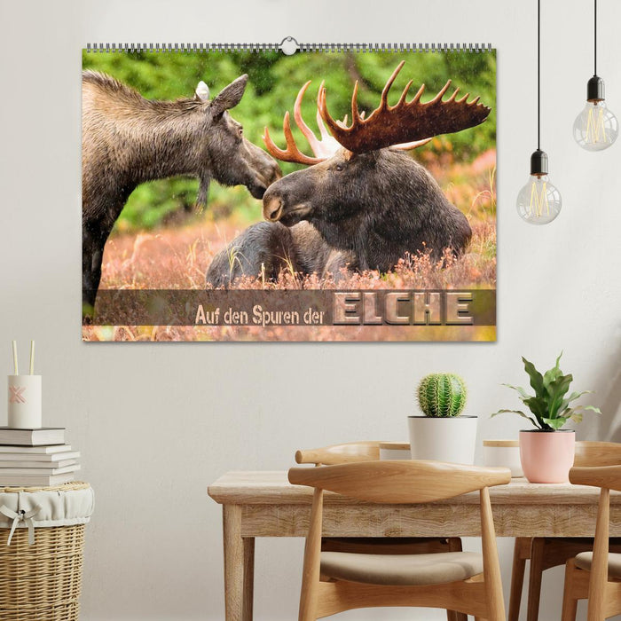 Auf den Spuren der Elche (CALVENDO Wandkalender 2026)