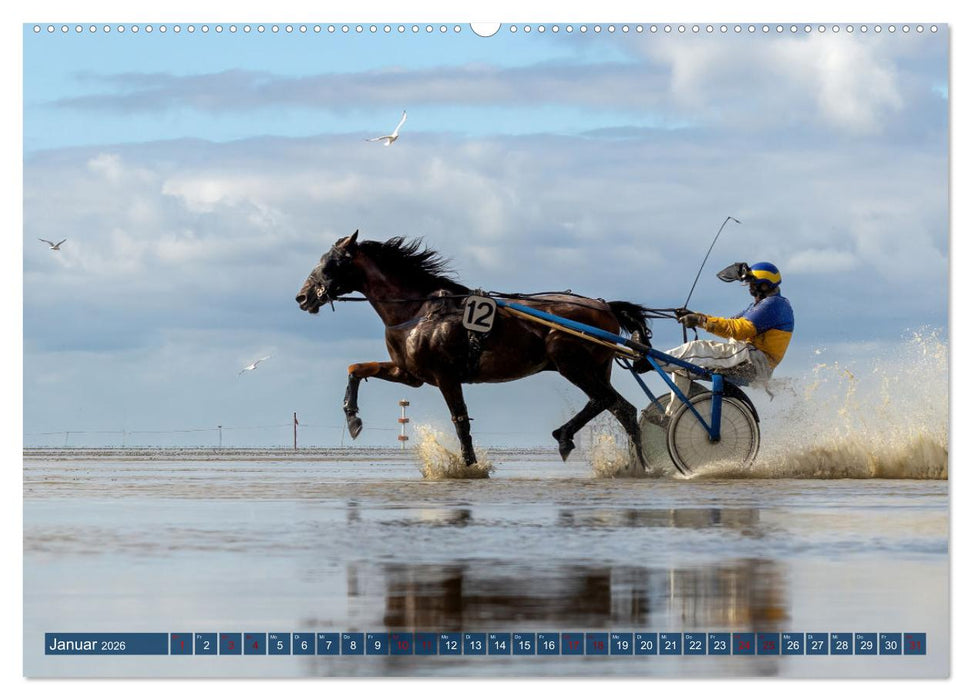 Duhner Wattrennen (CALVENDO Wandkalender 2026)