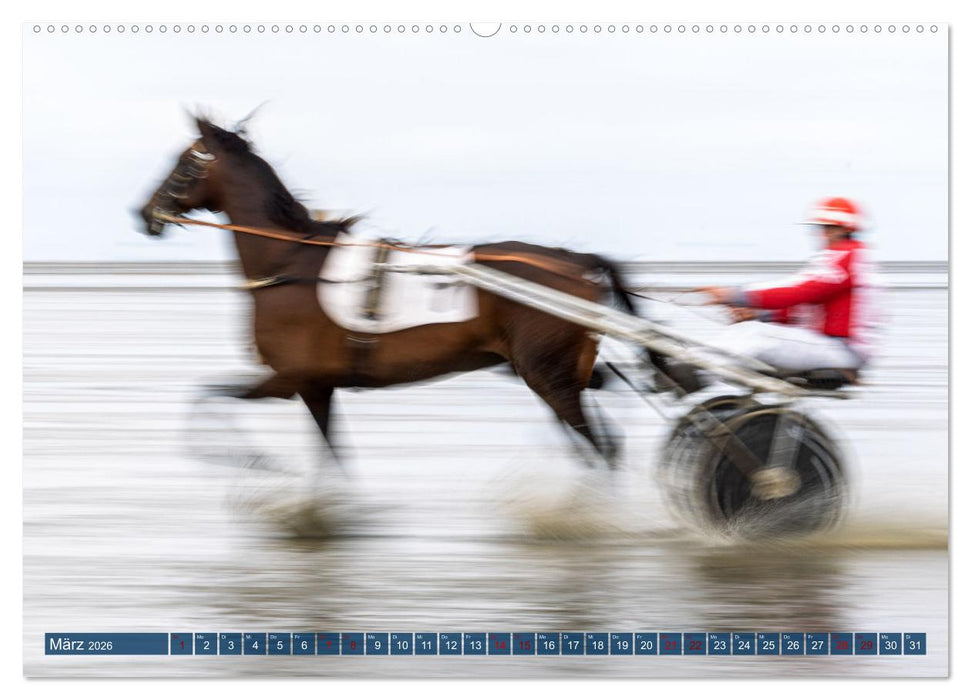 Duhner Wattrennen (CALVENDO Wandkalender 2026)