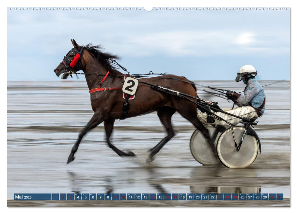 Duhner Wattrennen (CALVENDO Wandkalender 2026)