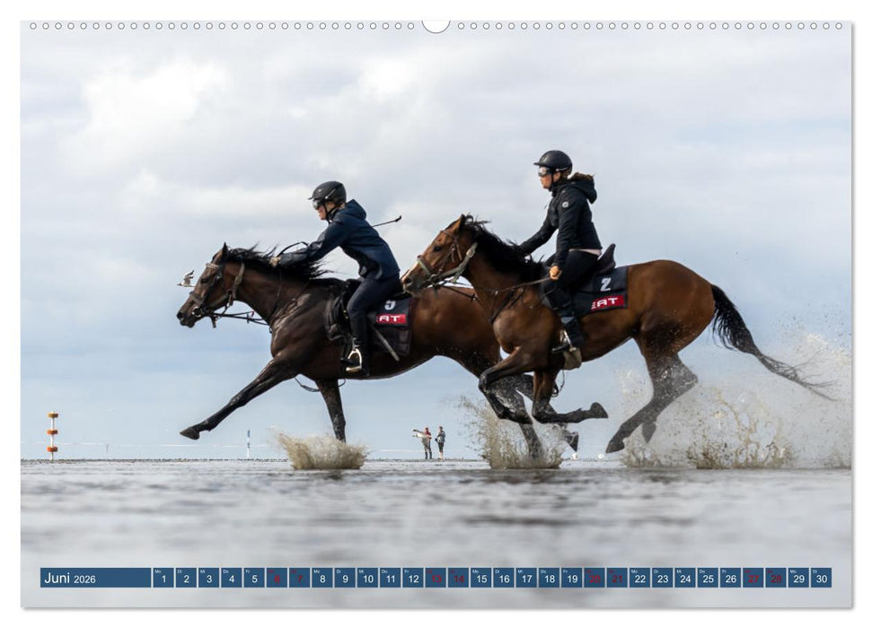 Duhner Wattrennen (CALVENDO Wandkalender 2026)