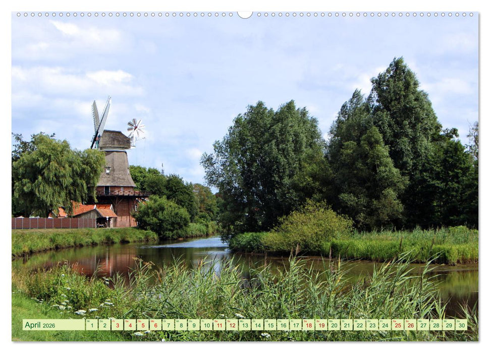 In Apen und umzu (CALVENDO Wandkalender 2026)