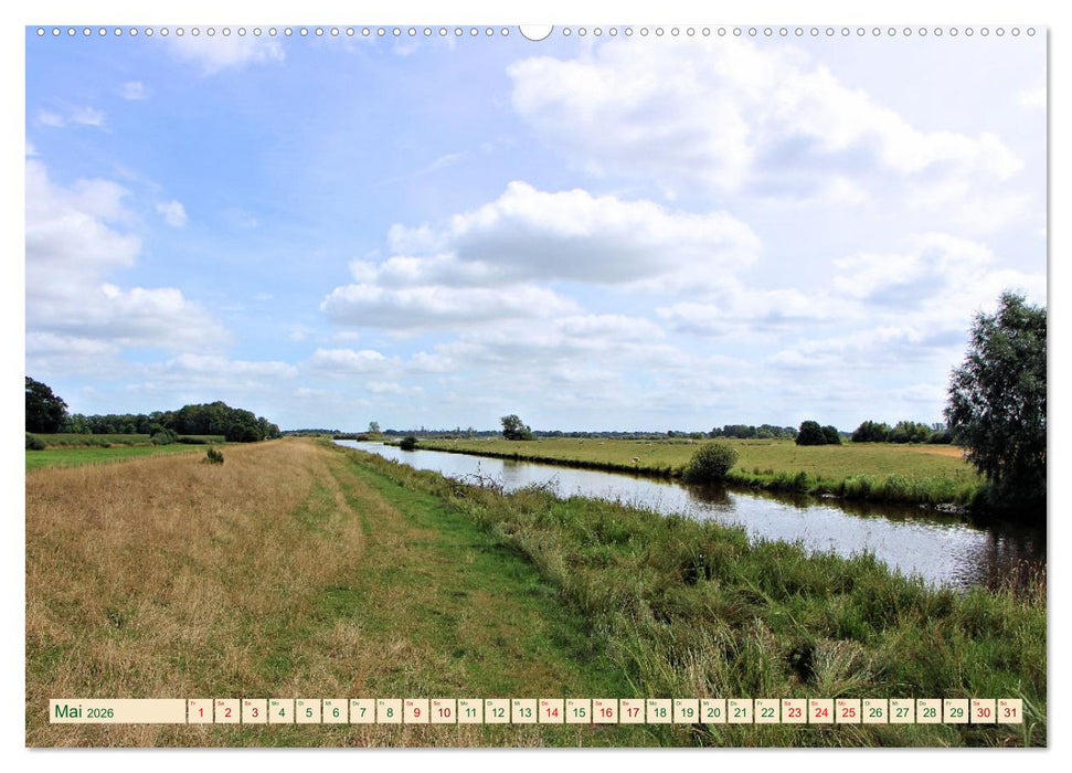 In Apen und umzu (CALVENDO Wandkalender 2026)