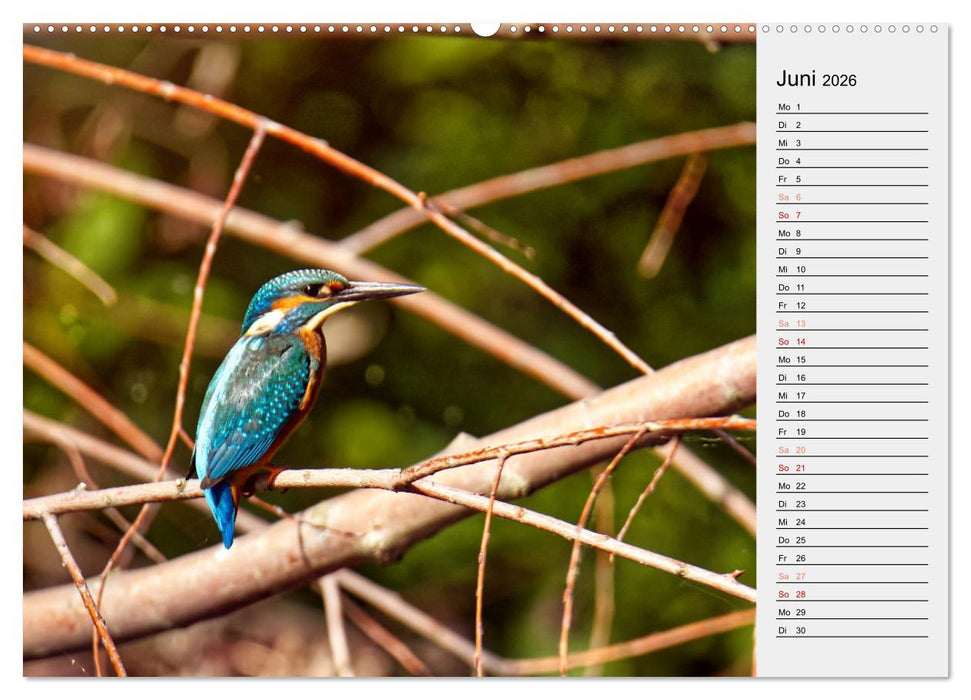 Der Steinertsee (CALVENDO Wandkalender 2026)