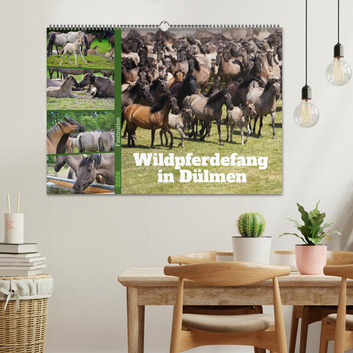 Faszination Wildpferdefang in Dülmen (CALVENDO Wandkalender 2026)