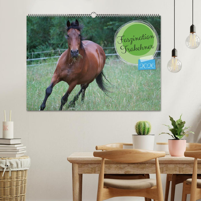 Faszination Trakehner (CALVENDO Wandkalender 2026)