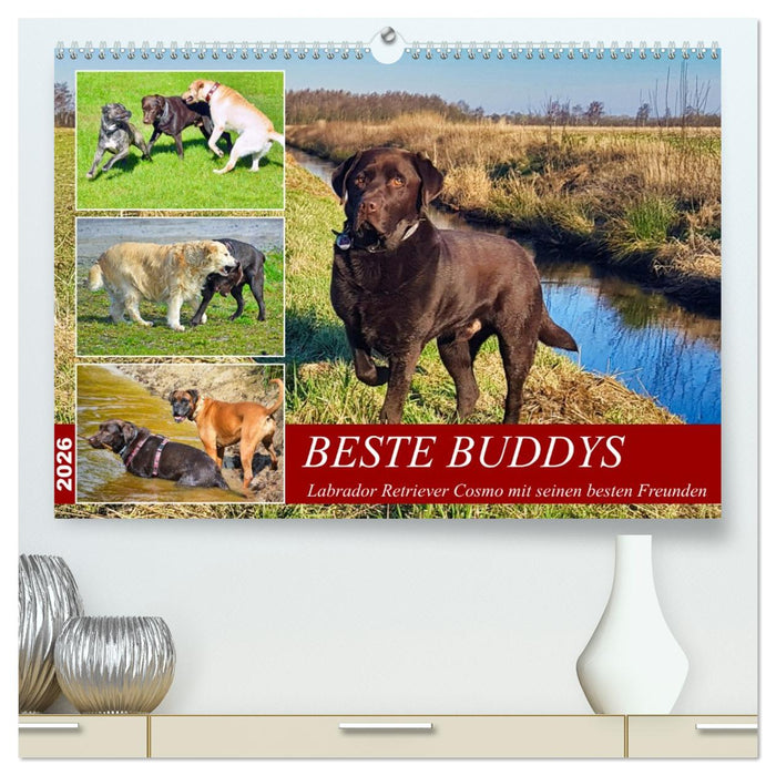 Beste Buddys (CALVENDO Premium Wandkalender 2026)