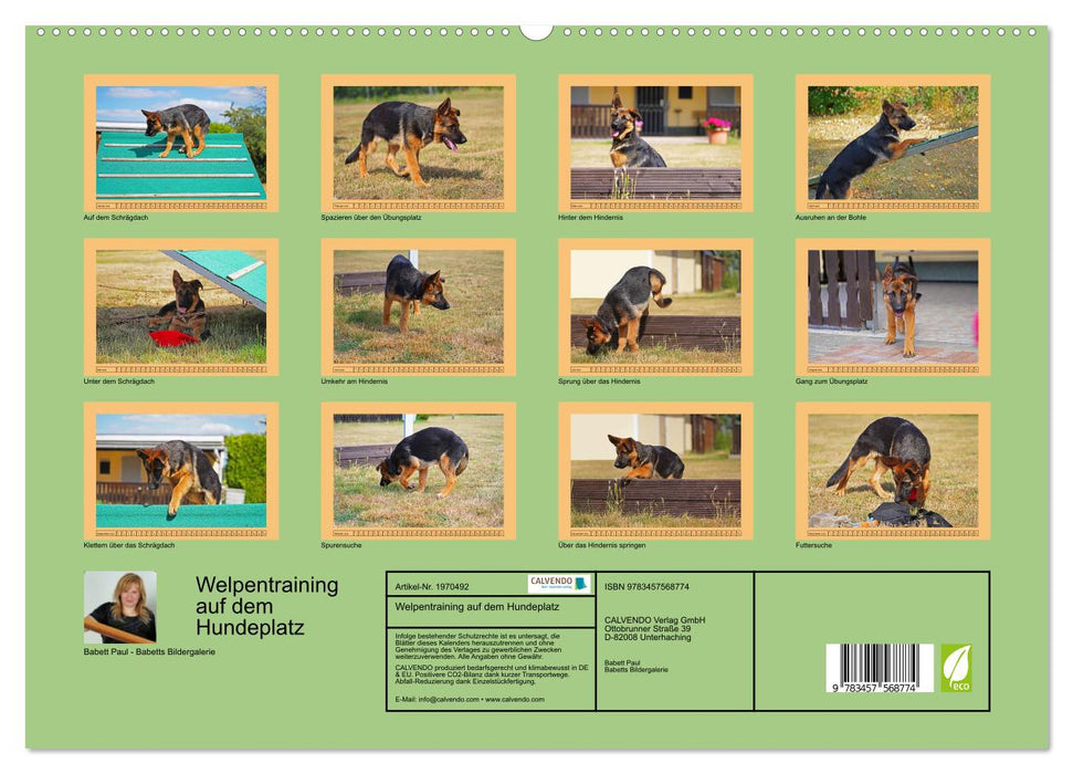 Welpentraining auf dem Hundeplatz (CALVENDO Premium Wandkalender 2026)