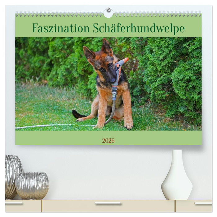 Faszination Schäferhundwelpe (CALVENDO Premium Wandkalender 2026)
