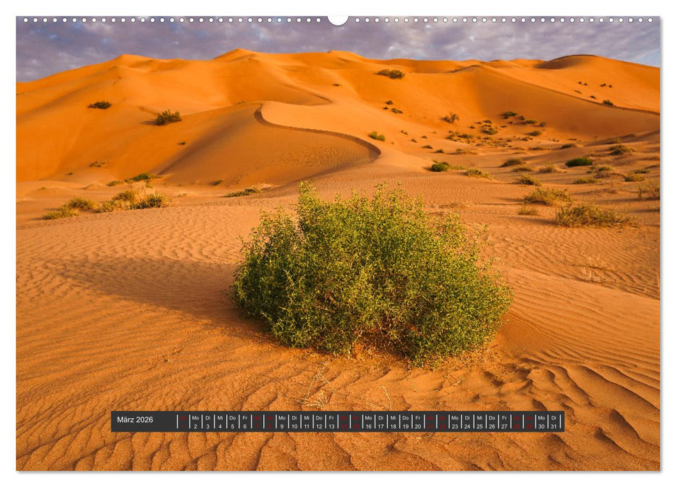 OMAN Offroad Travel Log (CALVENDO Wandkalender 2026)