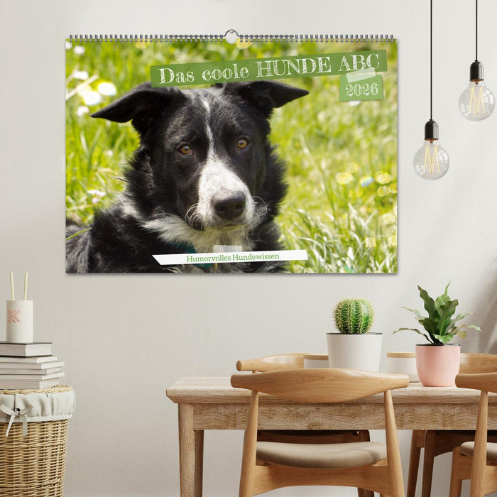 Das coole Hunde ABC (CALVENDO Wandkalender 2026)