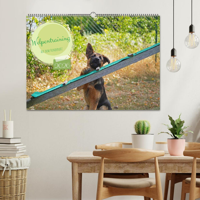 Welpentraining auf dem Hundeplatz (CALVENDO Wandkalender 2026)