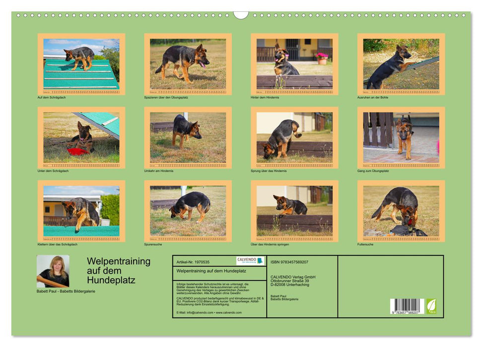 Welpentraining auf dem Hundeplatz (CALVENDO Wandkalender 2026)