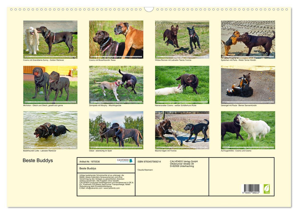Beste Buddys (CALVENDO Wandkalender 2026)
