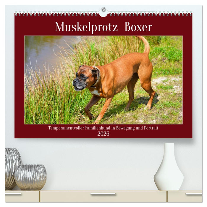 Muskelprotz Boxer (CALVENDO Premium Wandkalender 2026)