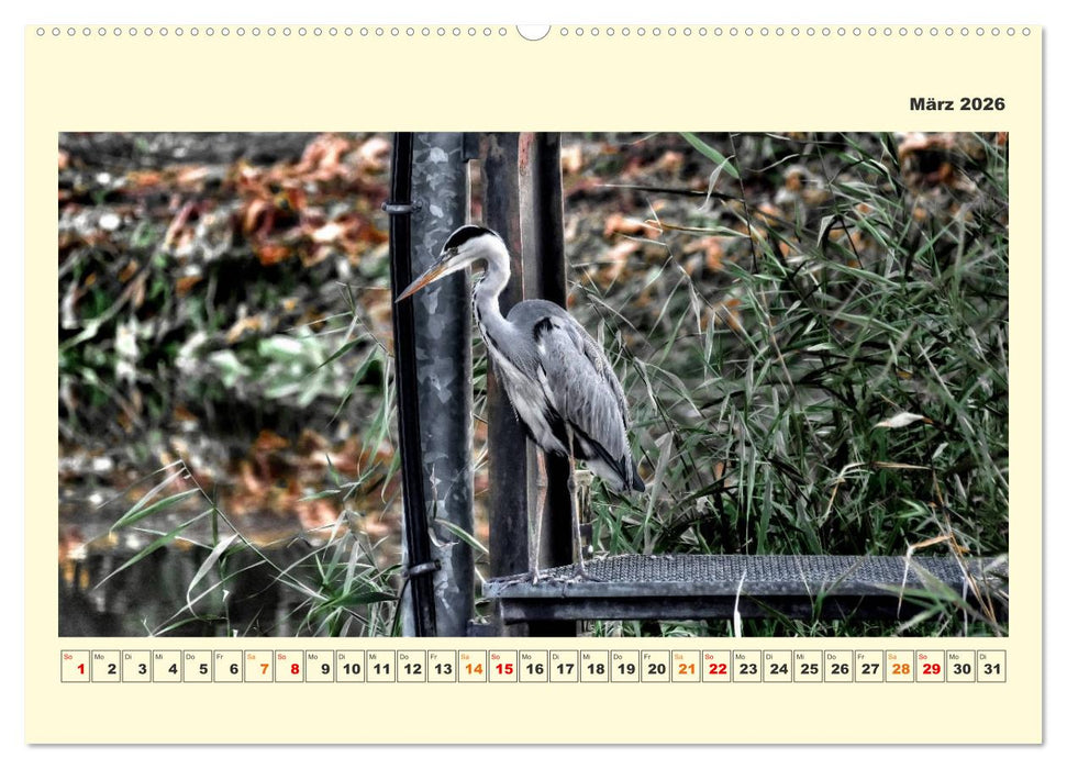 Tierwelt der Wümmeniederung (CALVENDO Wandkalender 2026)