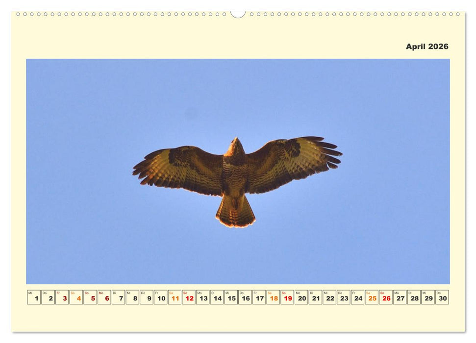 Tierwelt der Wümmeniederung (CALVENDO Wandkalender 2026)