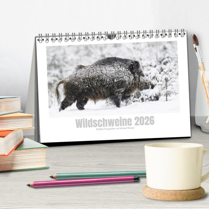 Wildschweine – Wildlife Fotografien (CALVENDO Wandkalender 2026)