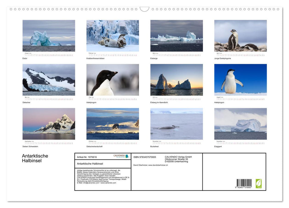 Antarktische Halbinsel (CALVENDO Wandkalender 2026)