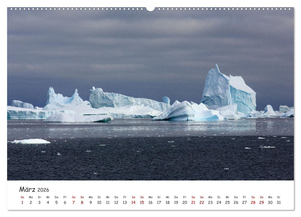 Antarktische Halbinsel (CALVENDO Wandkalender 2026)