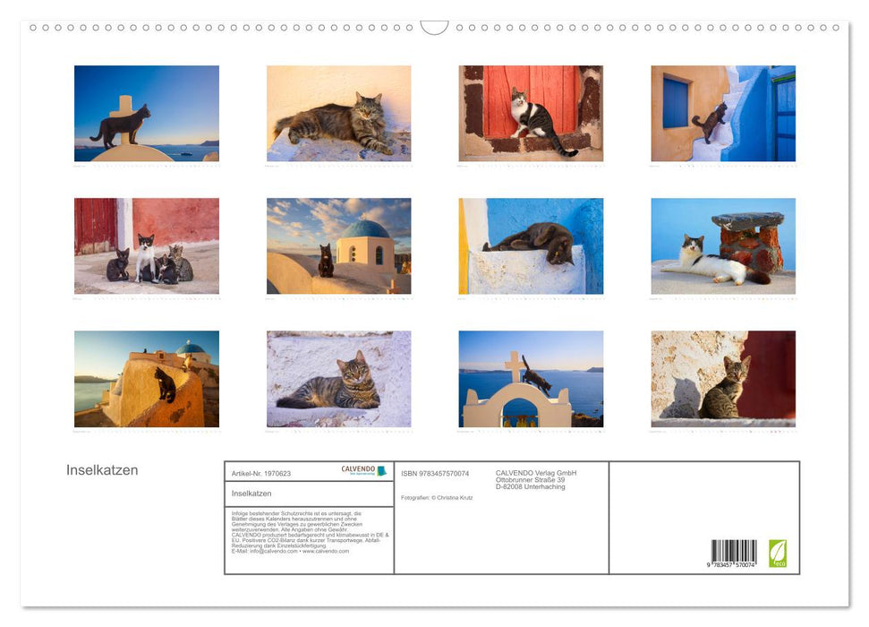 Inselkatzen (CALVENDO Wandkalender 2026)