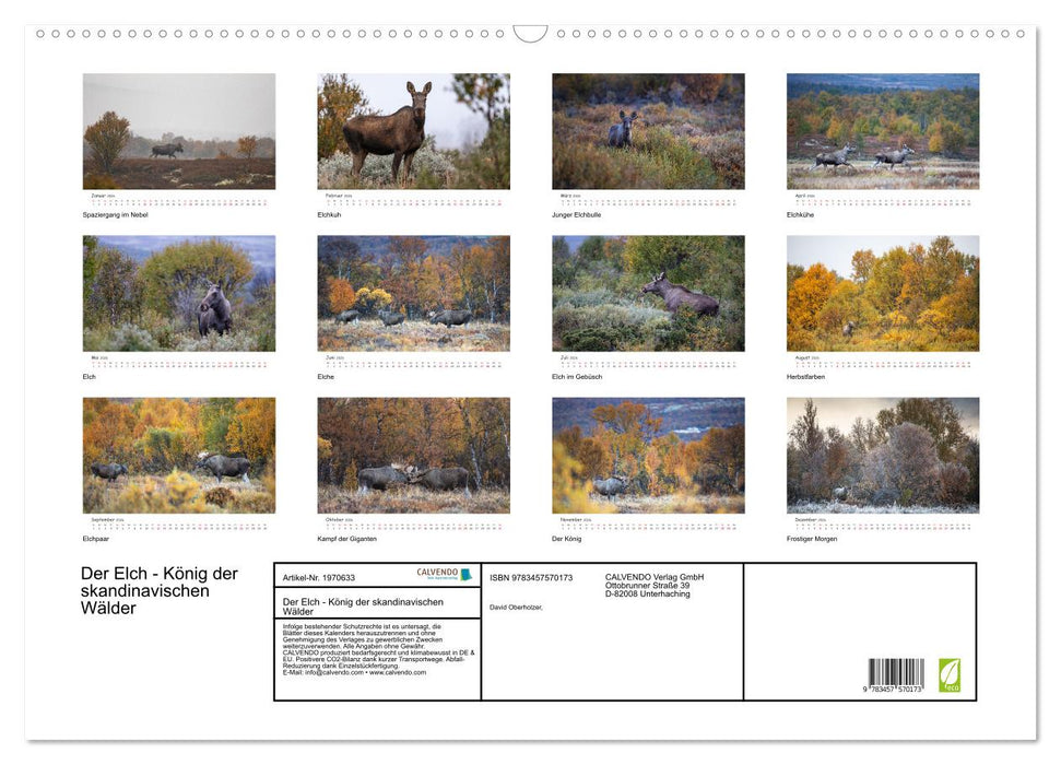 Der Elch - König der skandinavischen Wälder (CALVENDO Wandkalender 2026)
