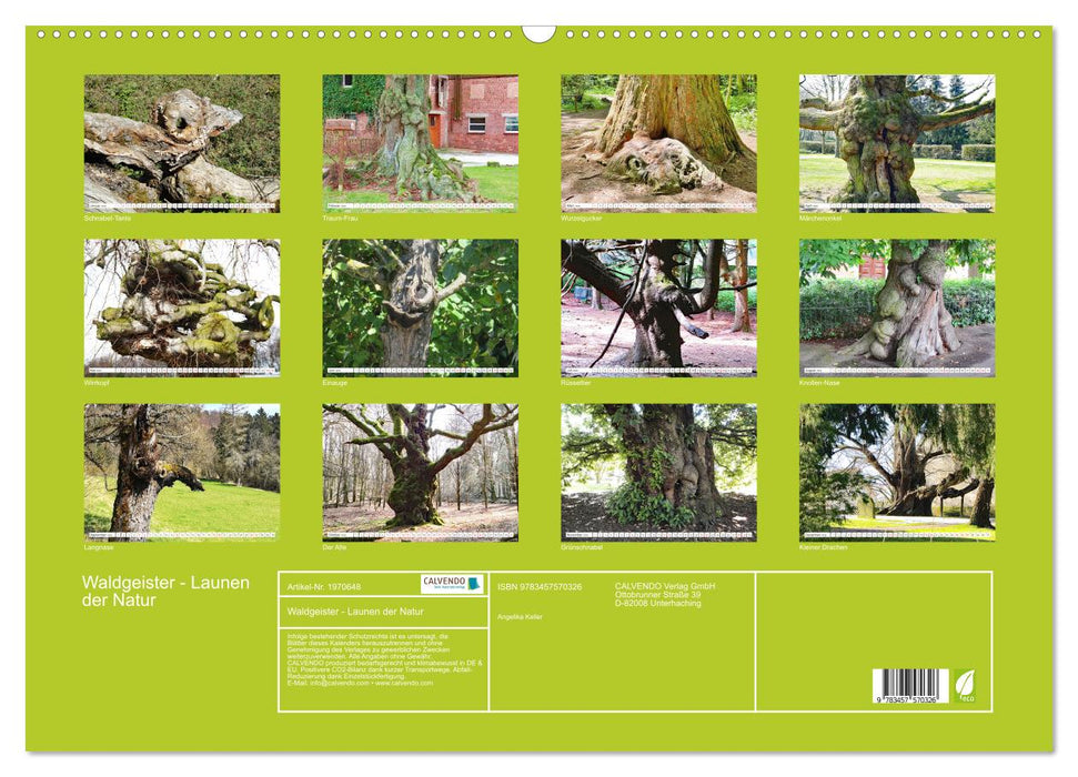 Waldgeister - Launen der Natur (CALVENDO Wandkalender 2026)