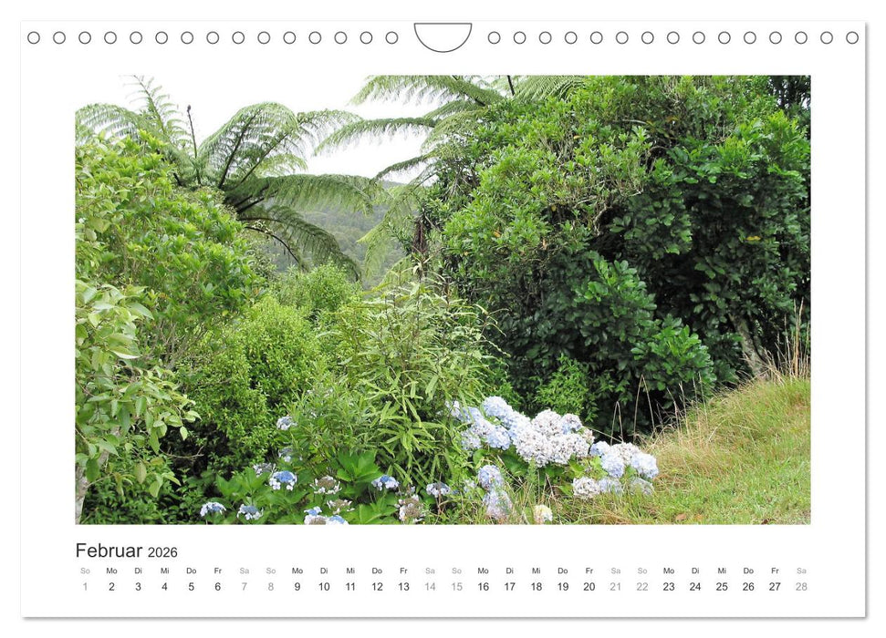 Traumziel Neuseelands Nordinsel 2026 (CALVENDO Wandkalender 2026)