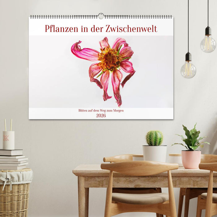 Pflanzen in der Zwischenwelt (CALVENDO Wandkalender 2026)