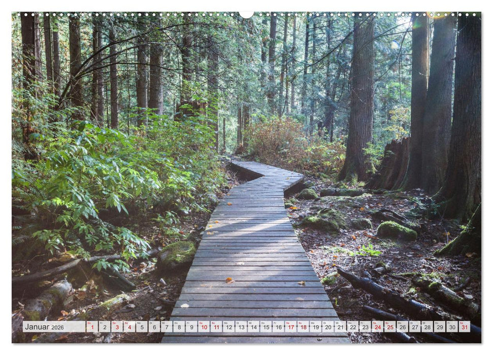 Traumhafte Wege - Matteo Colombo (CALVENDO Wandkalender 2026)