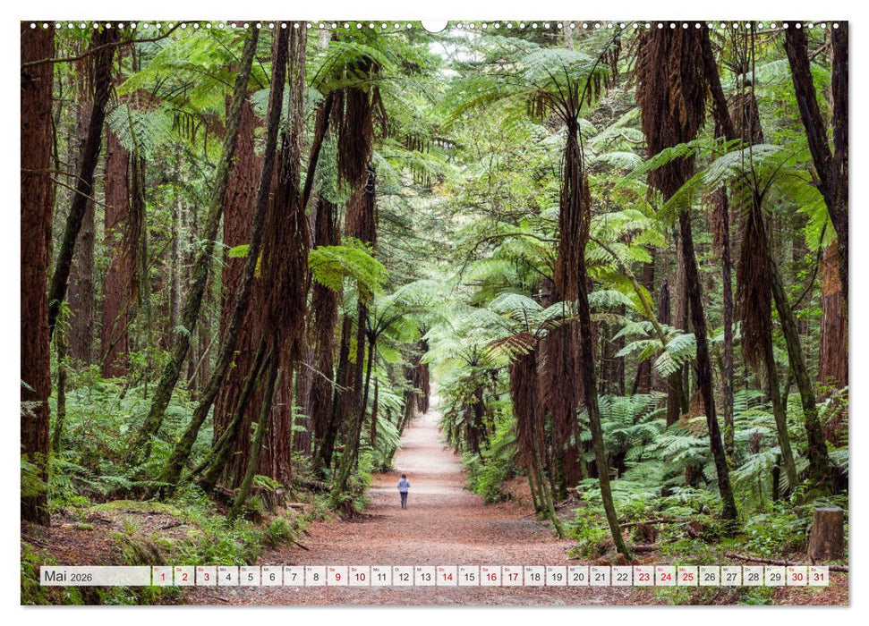 Traumhafte Wege - Matteo Colombo (CALVENDO Wandkalender 2026)