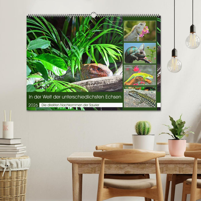 In der Welt der unterschiedlichsten Echsen (CALVENDO Wandkalender 2026)
