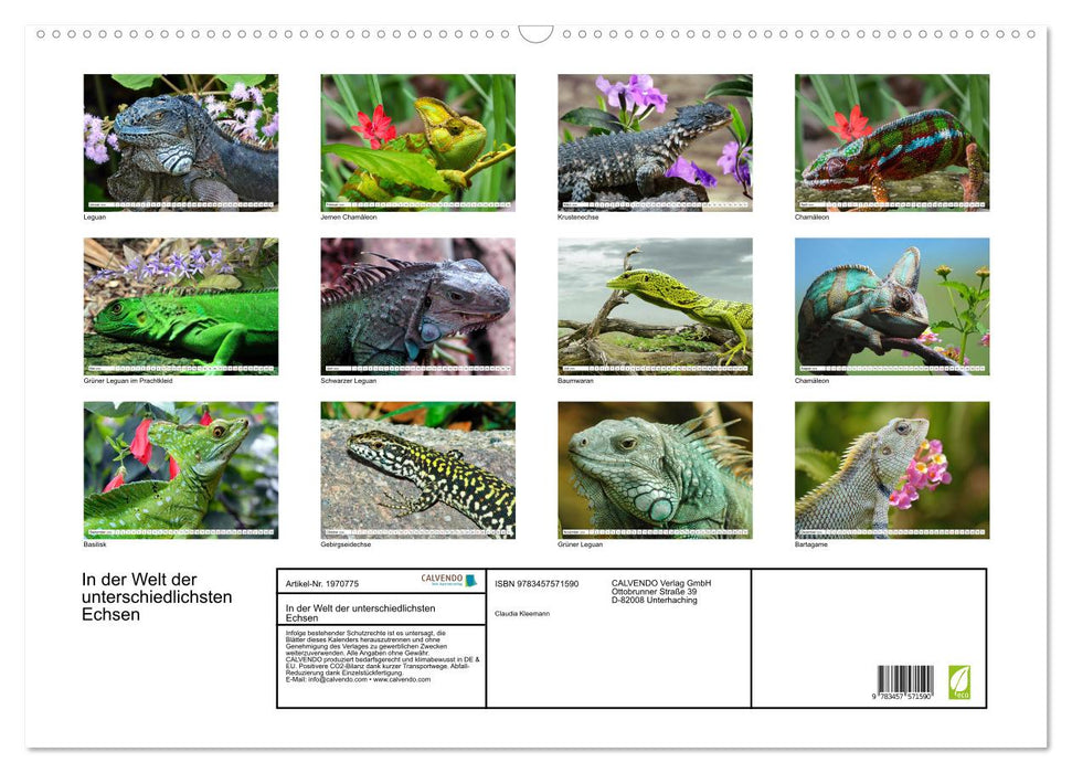 In der Welt der unterschiedlichsten Echsen (CALVENDO Wandkalender 2026)