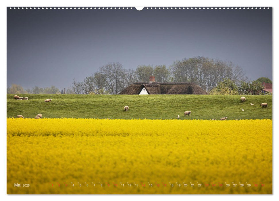 Wunderschönes Eiderstedt (CALVENDO Wandkalender 2026)