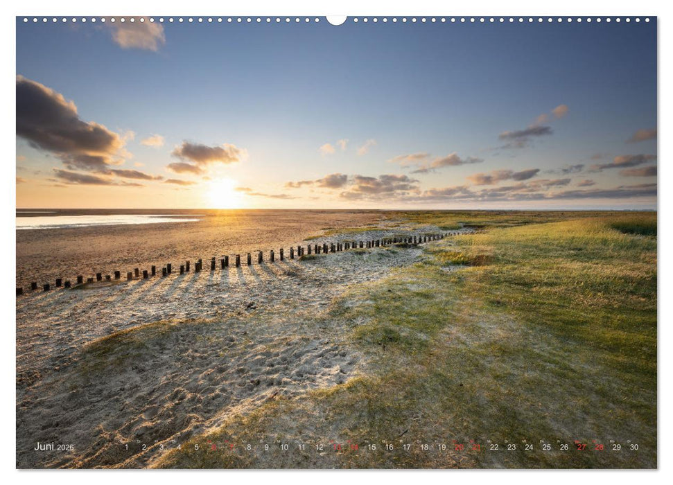 Wunderschönes Eiderstedt (CALVENDO Wandkalender 2026)