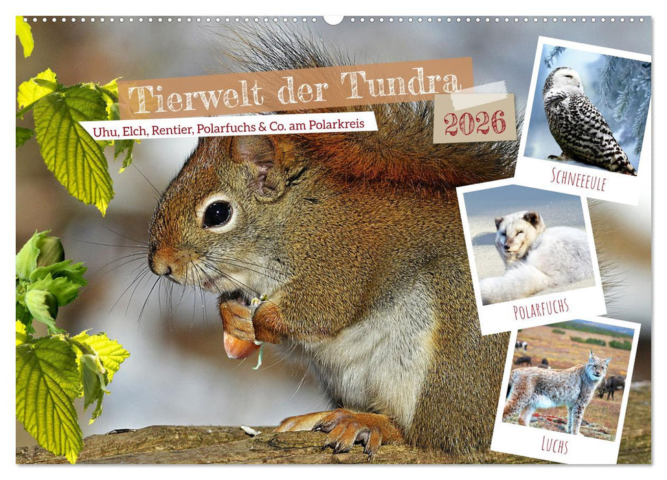 Tierwelt der Tundra (CALVENDO Wandkalender 2026)